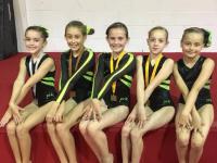 Level 6 Gymnasts