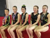 Level 5 Gymnasts